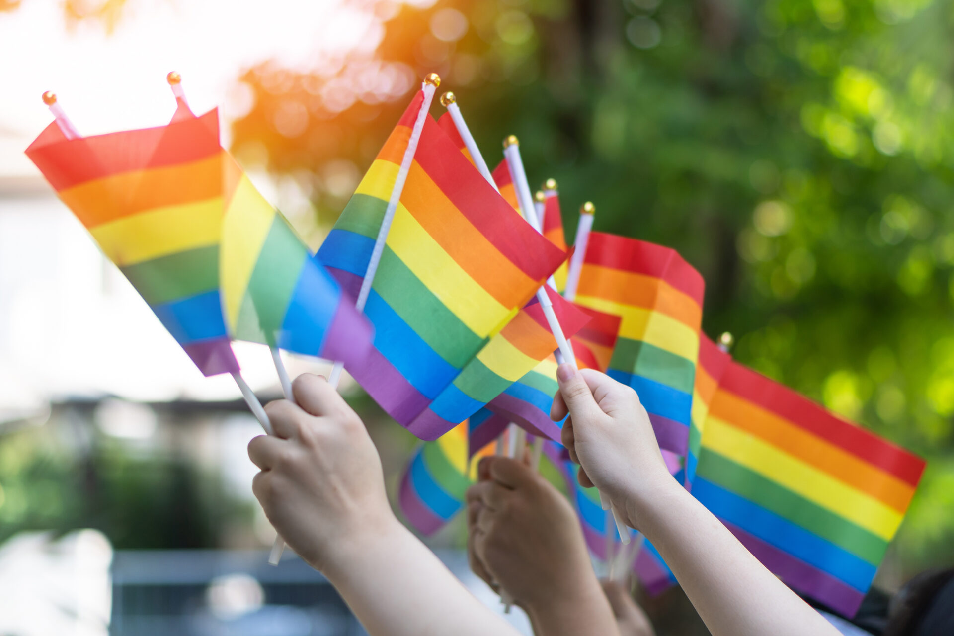 rainbow flag