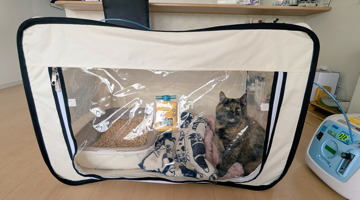 最愛のペット