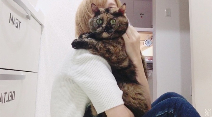 猫と飼い主