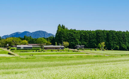 田舎の風景