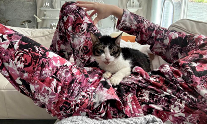 響介さんの愛猫ポポロンくん