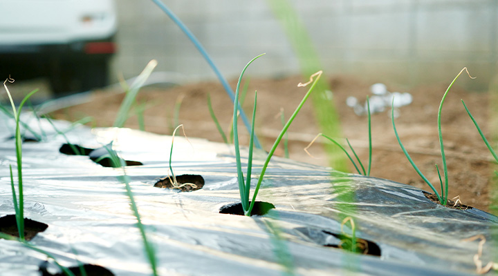 “家族だけ”でなんとかしなきゃ、なんてない。｜LIFULL STORIES