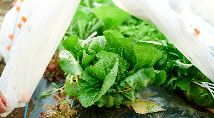 “家族だけ”でなんとかしなきゃ、なんてない。｜LIFULL STORIES