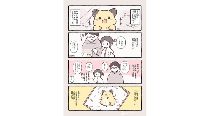 しらほし卯乃さんの漫画