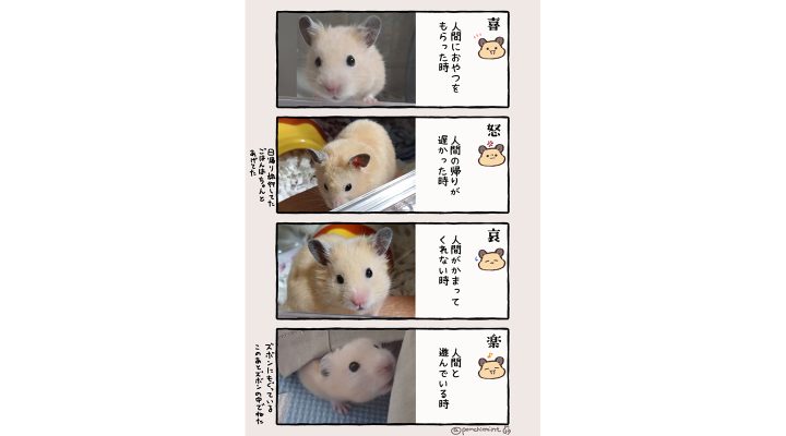 しらほし卯乃さん漫画