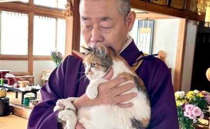 栃木県・那須の長楽寺の住職と、抱えられた猫