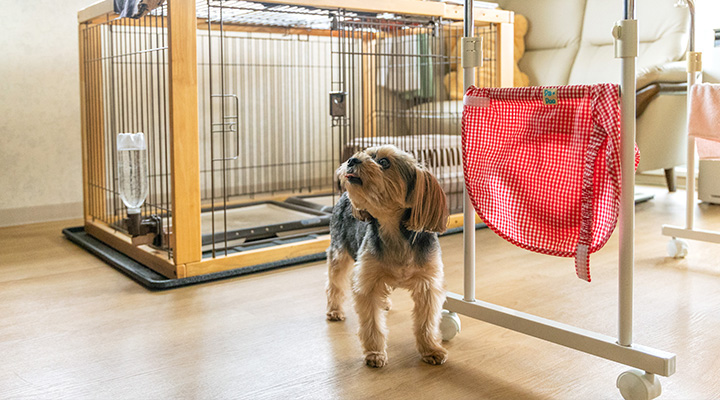 介護付有料老人ホーム「ウェルハイム・八王子」で暮らすペット